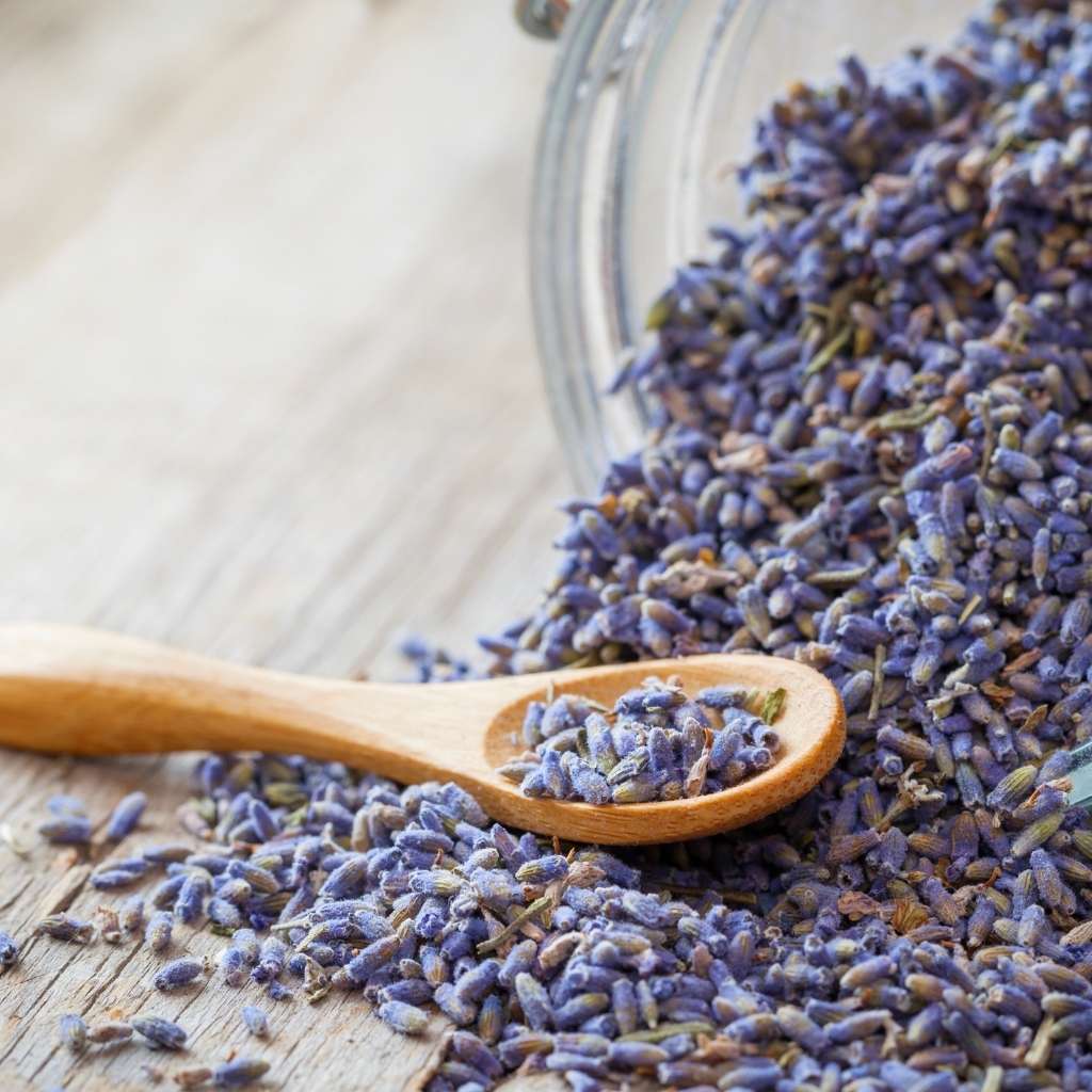 Macarons statt Blumen: Die beruhigende Kraft von Lavendel in jedem Bissen genießen