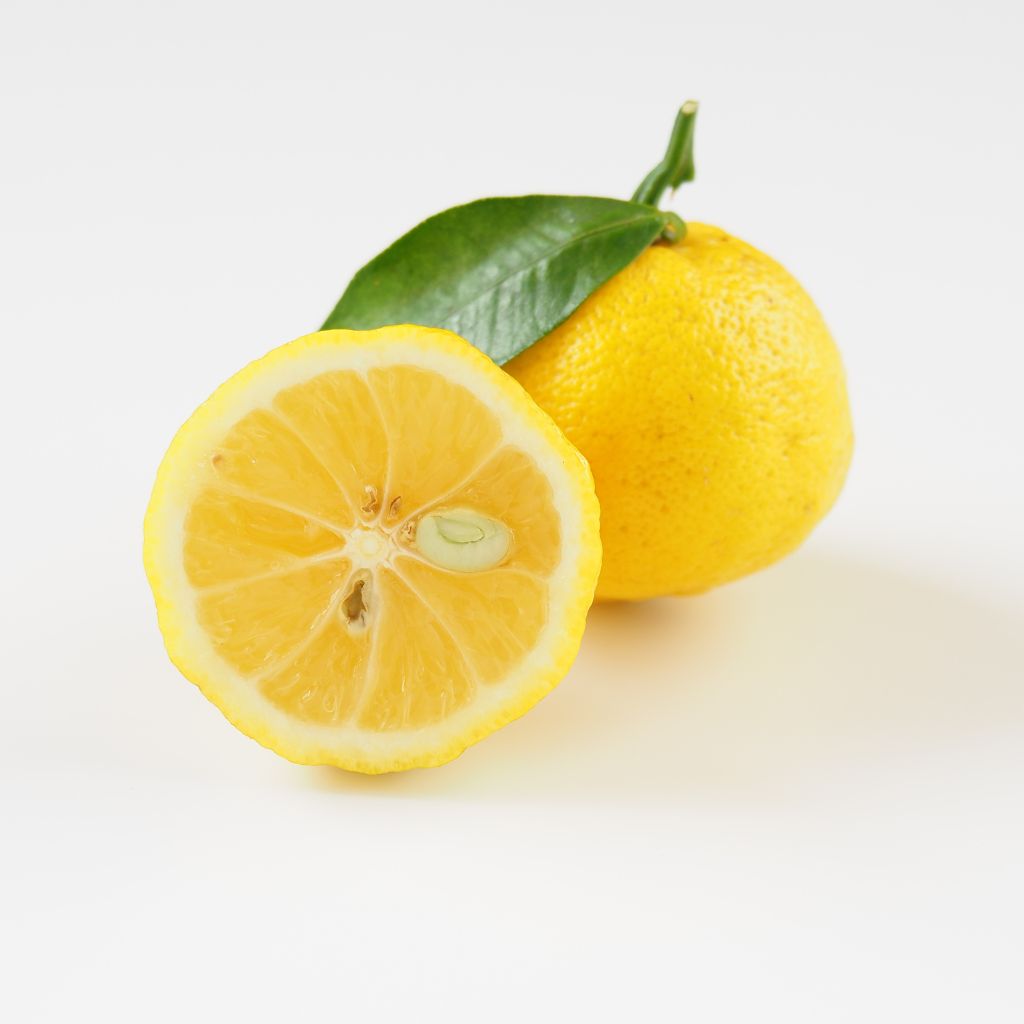 Yuzu – die aromatische Zitrusfrucht aus Japan
