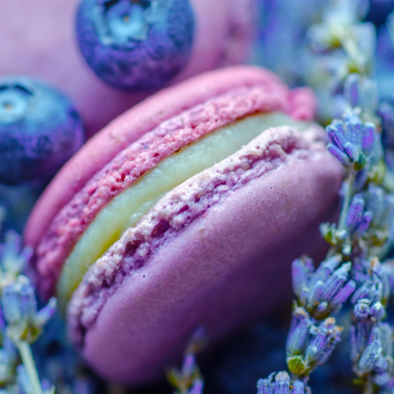 Sorte des Monats (Mai) - Leanne (Lavendel-Blaubeere)