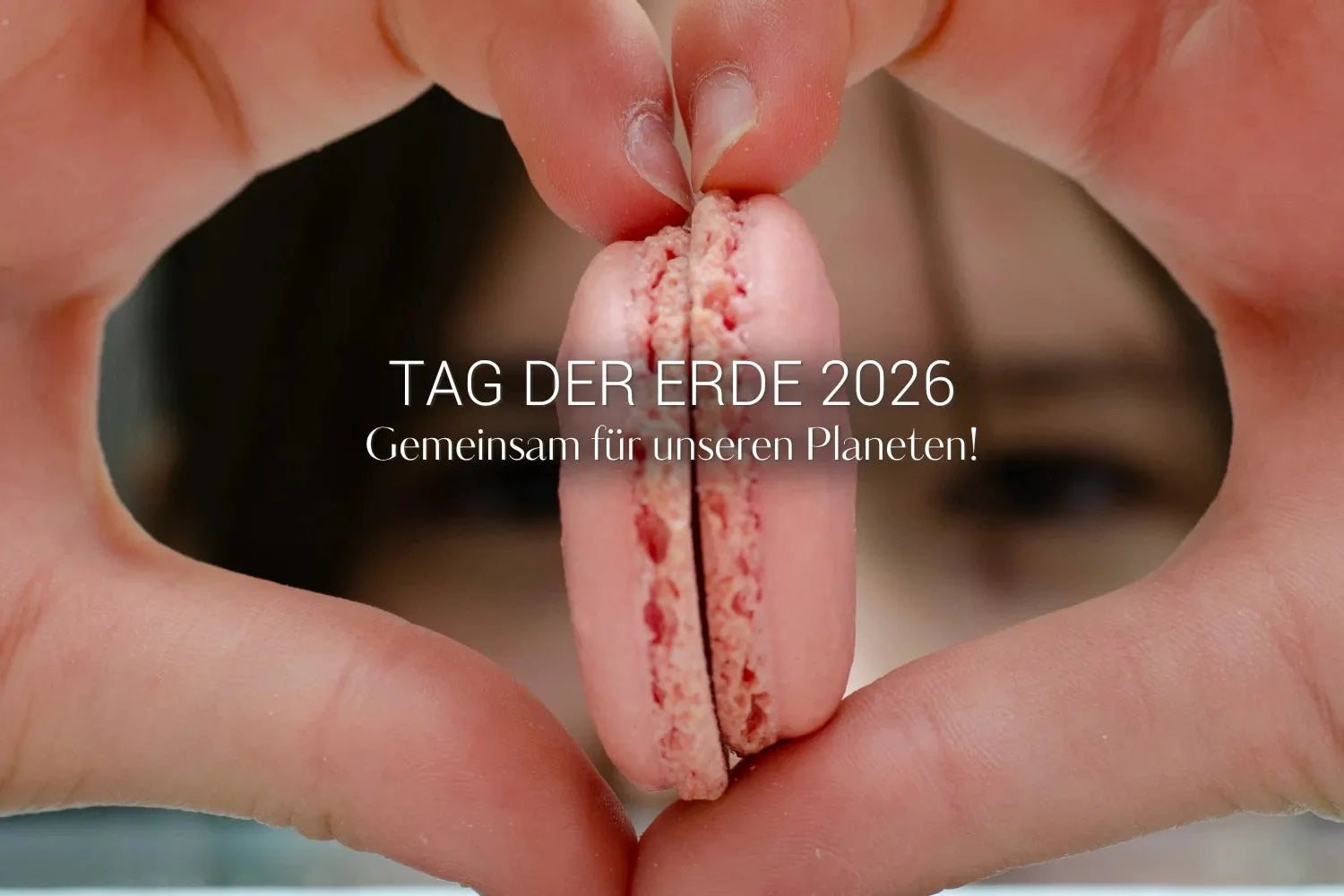 Tag der Erde bei duSucre Macarons: Wiederverwendbare Boxen und Treuepunkte im Store