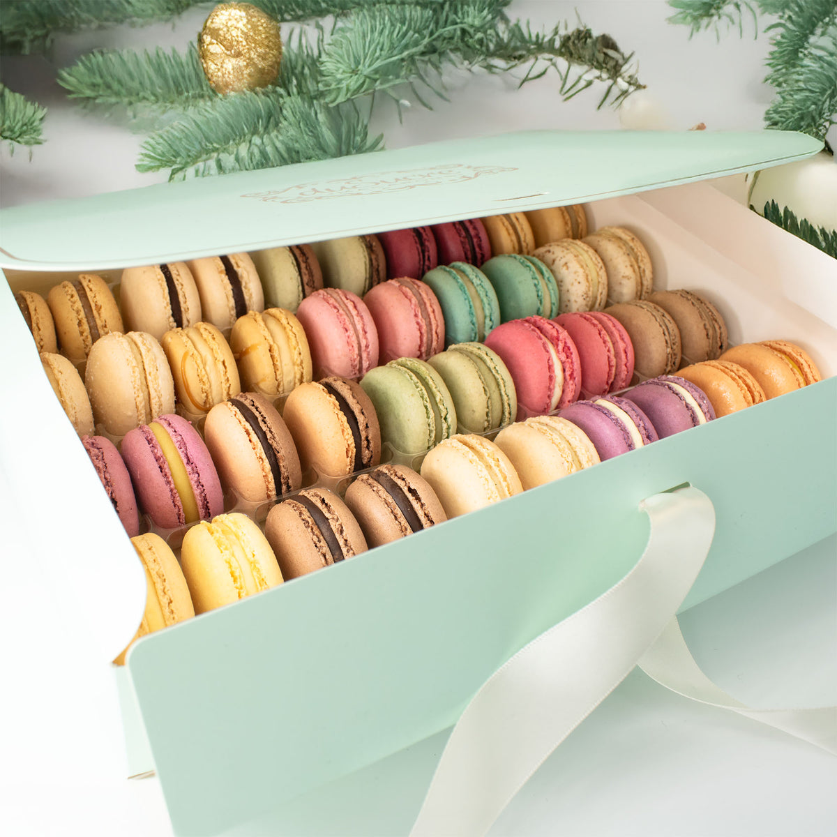 Winter Edition - 40er Set